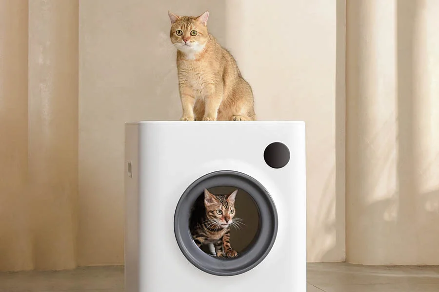 best no smell cat litter box